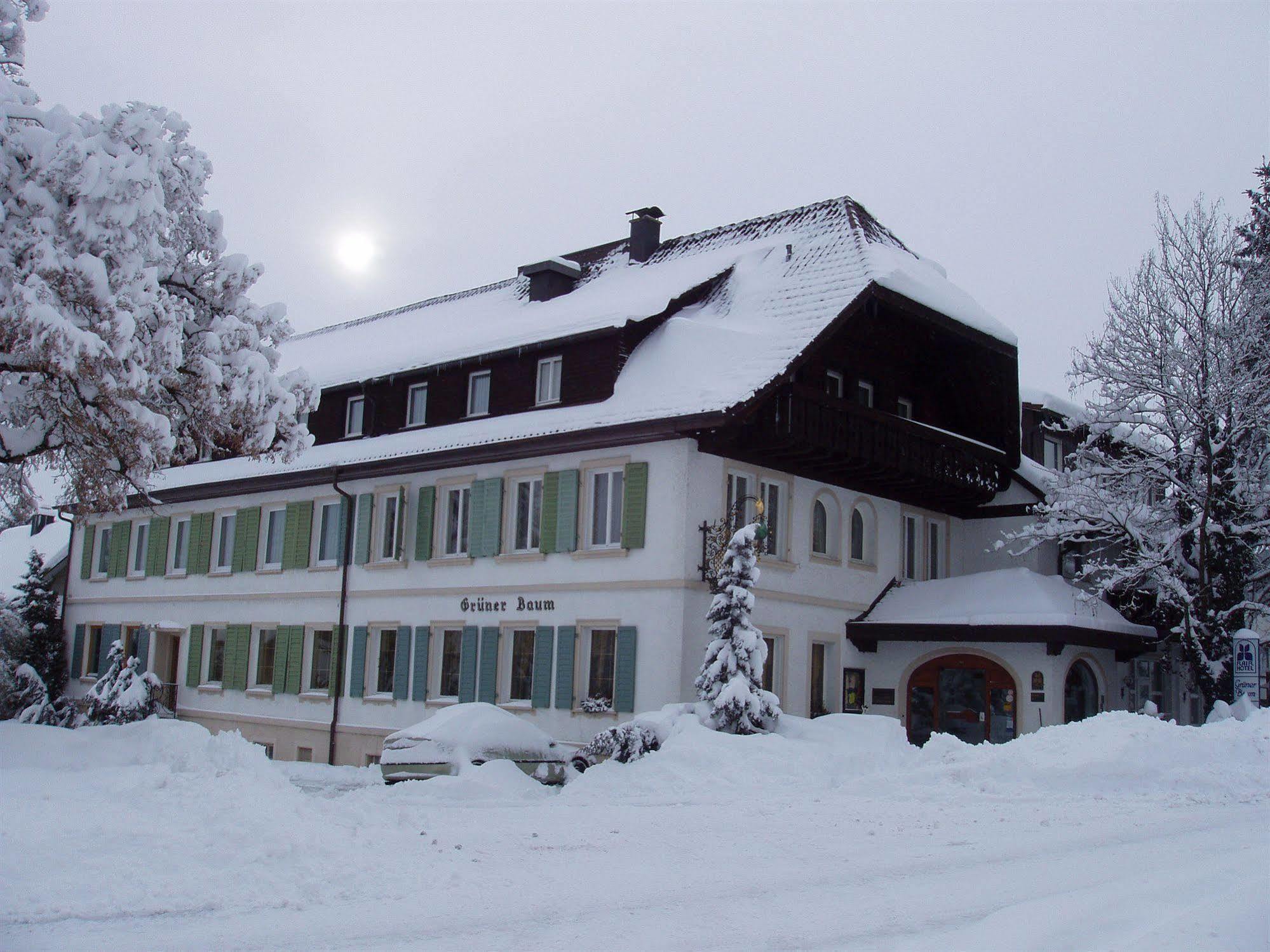 Flair Hotel Gruener Baum Donaueschingen Esterno foto